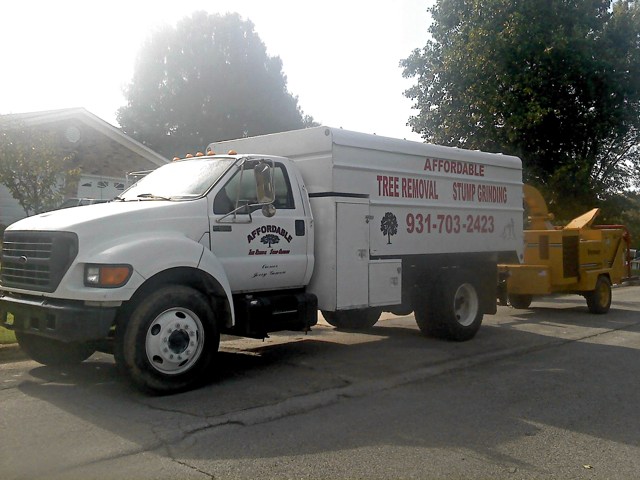 Affordable Tree Removal Chipper Truck